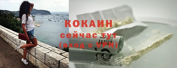 ПСИЛОЦИБИНОВЫЕ ГРИБЫ Кукмор