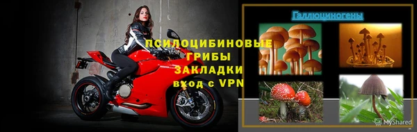 spice Кулебаки