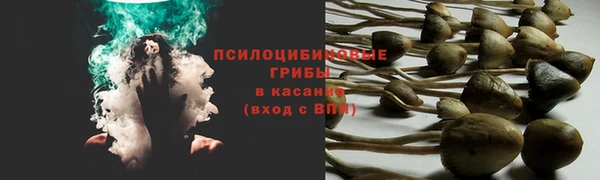 ПСИЛОЦИБИНОВЫЕ ГРИБЫ Кукмор