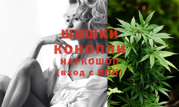ПСИЛОЦИБИНОВЫЕ ГРИБЫ Кукмор