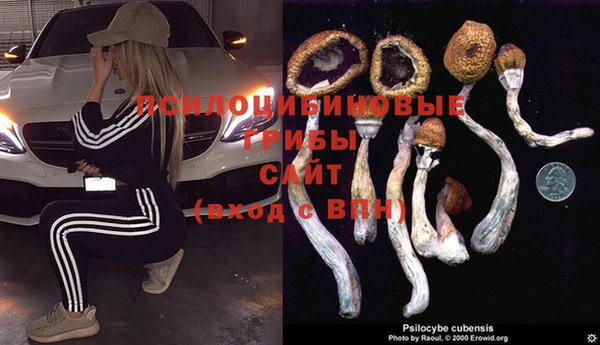 spice Кулебаки