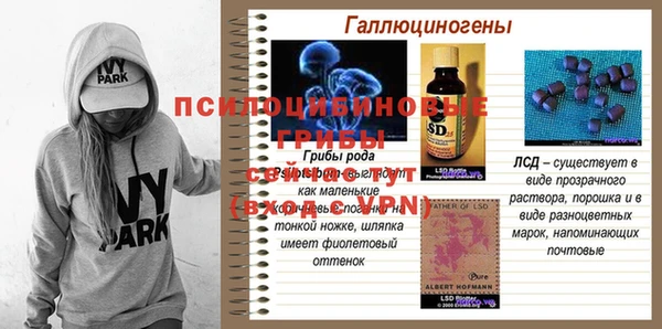 spice Кулебаки
