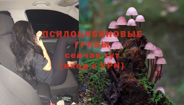 spice Кулебаки