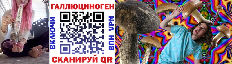 Купить где  Кропоткин  Галлюциногенные грибы ЛСД 